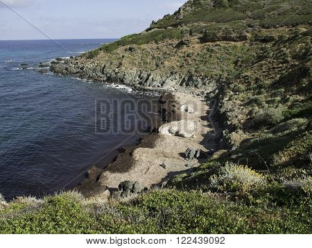 the coastline of the Island of corsica