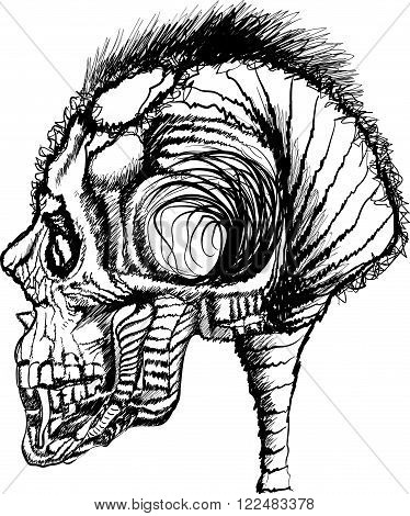 skull illustration / a mark of the danger warning / T-shirt graphics / cool skull illustration