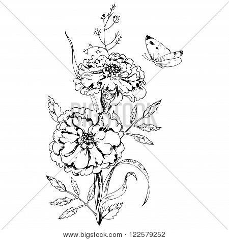 hand drawn ink floral ornament with flowers marigolds and leaves on white background. butterfly flying over a flower