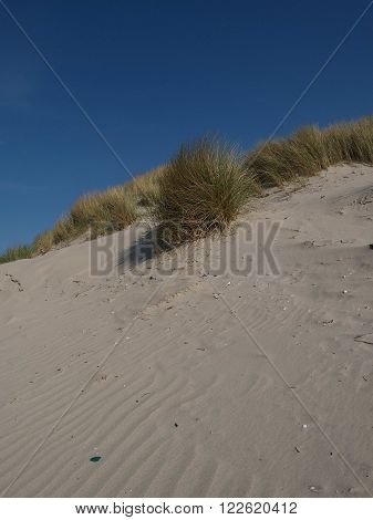 the beach of juist at the Germany North sea