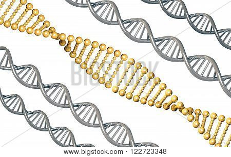 Golden DNA with silver DNA, dominant gene, isolated on white background, 3d rendered