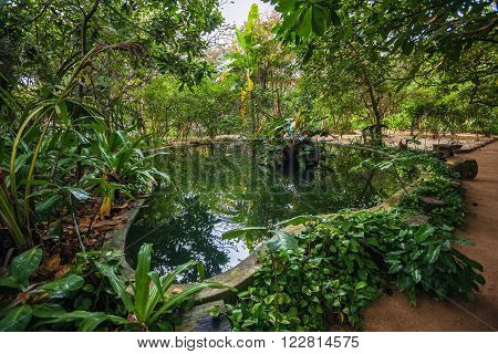 Sri Lanka. Beruwela. Swimming pool in the jungle.