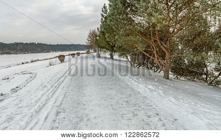 Hiking Trails
