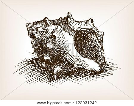 Seashell sketch style vector illustration. Old engraving imitation. Seashell hand drawn sketch imitation