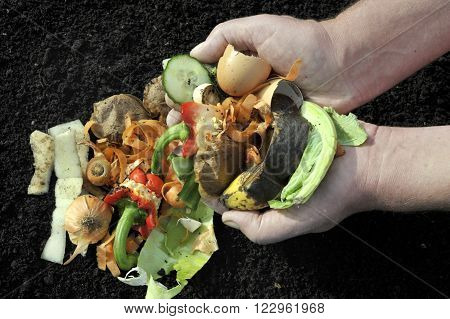 Handling Kitchen food and garden vegetable waste materials for home recycling via composting.