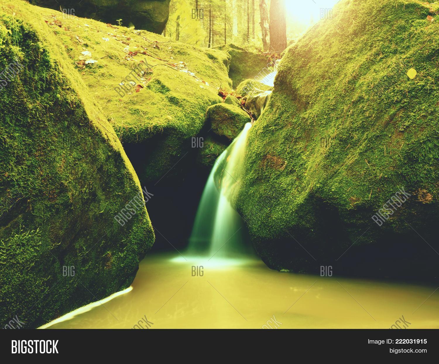 Image Preview