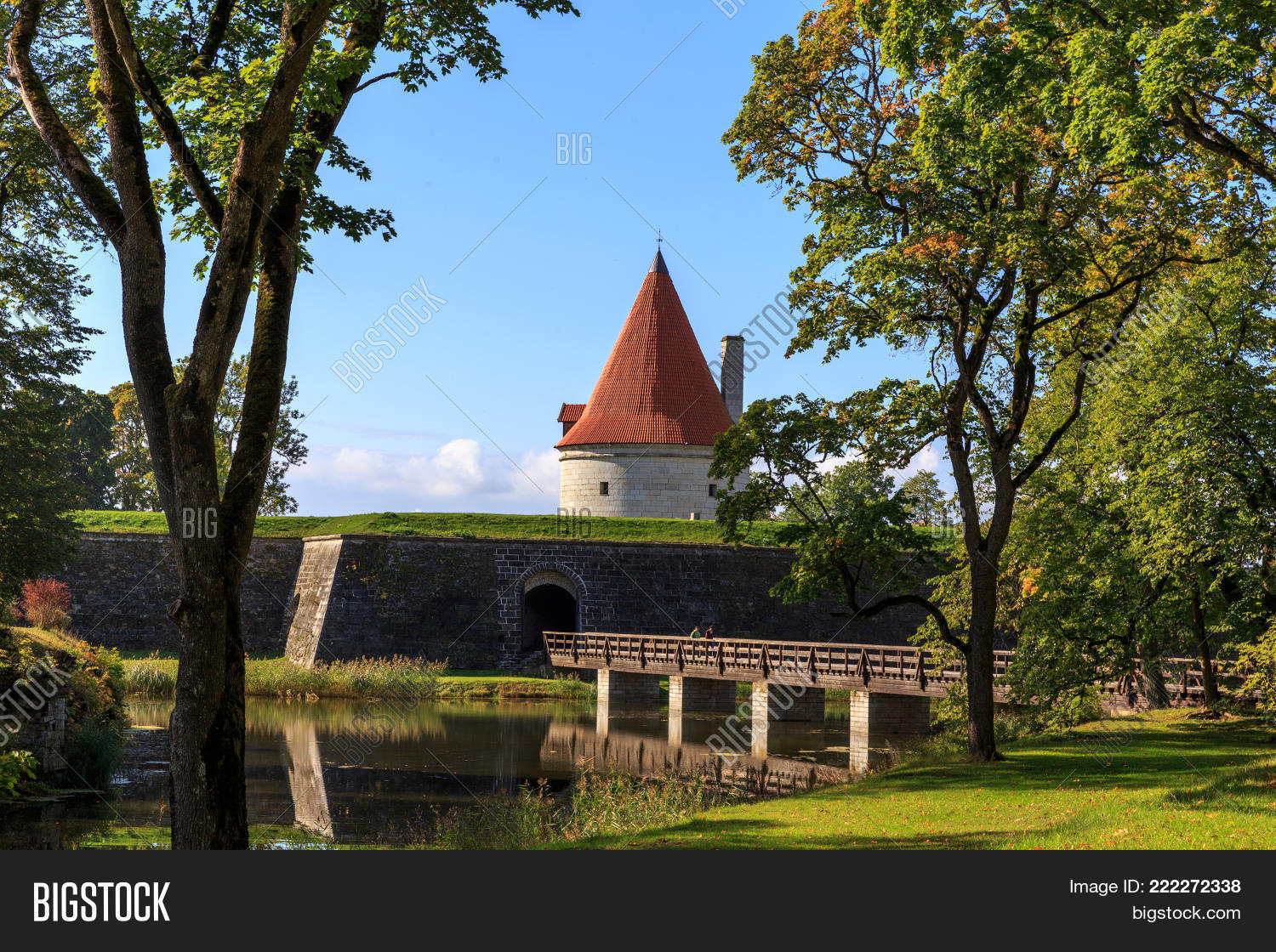 Image Preview