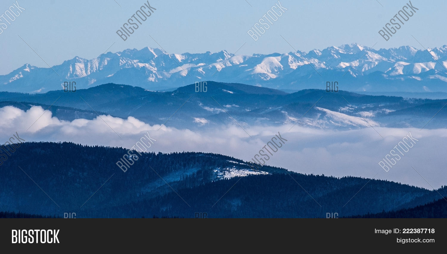 Image Preview