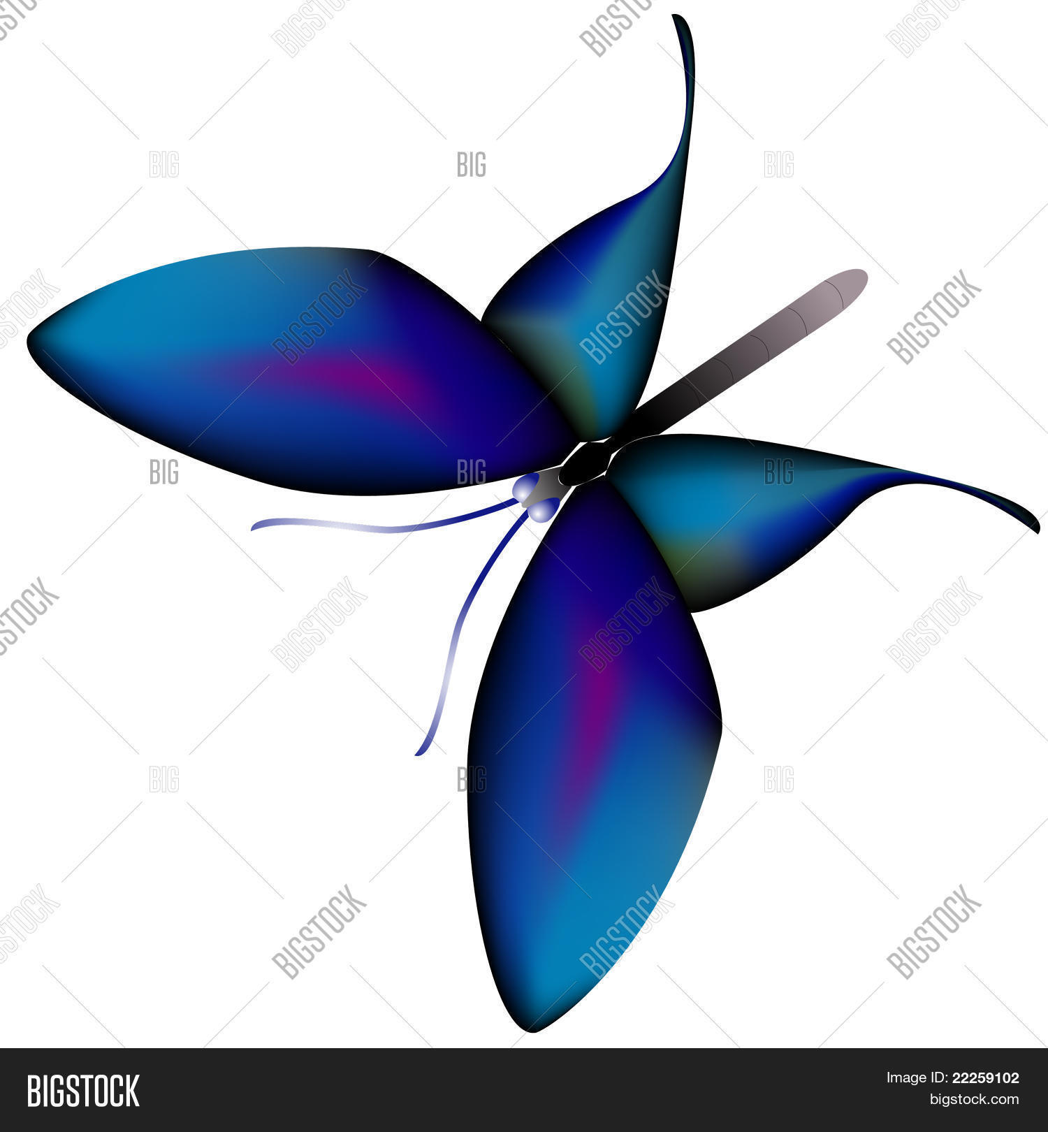 Image Preview