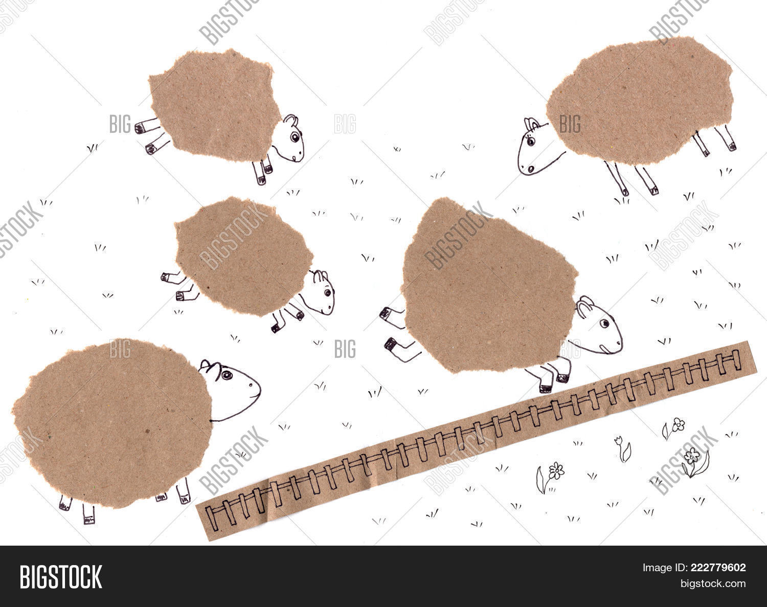 Image Preview