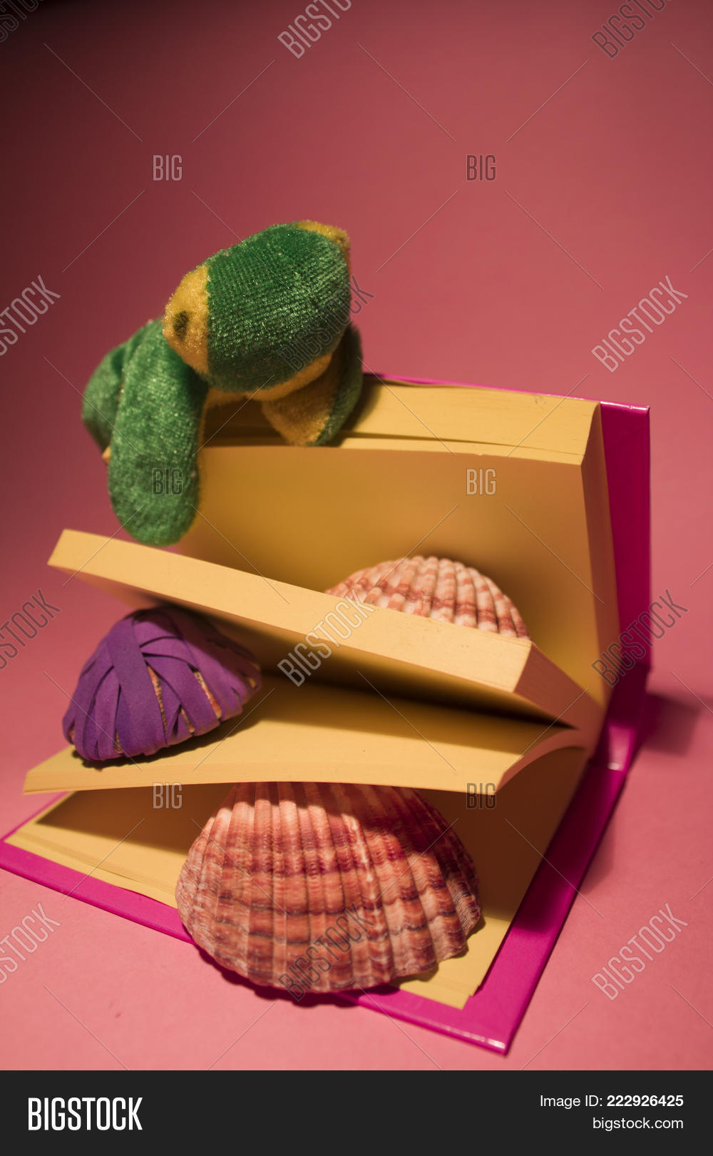 Image Preview