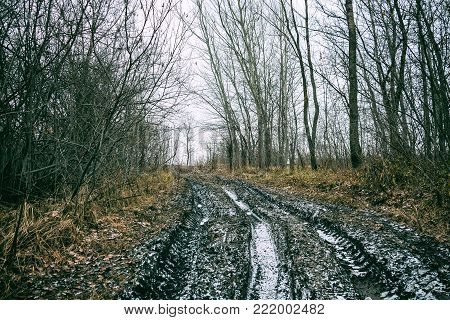 An impassable road, off-road track in autumn forest. Late autumn, early winter