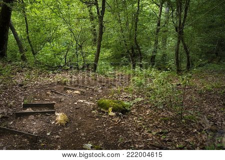 Wooden downstairs in the Strandja Forest in the Strandja national park in Bulgaria, Path in the forest .