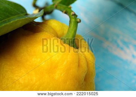 Lemon with leaf. On cyan wooden table, background.Giant lemon.Closeup.Copy space