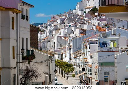 Olvera is a white village (pueblo blanco) in Sierra de Grazalema, Cadiz province, Andalucia, Spain - lemon plant at 408