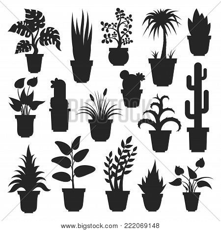 House plants silhouettes. Plant grown in a container, pot inside a house or flat, office air purification, ornamental green plant. Vector flat style cartoon illustration isolated on white background