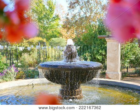 Water Fountain in Botanic Garden with Flower Foreground
