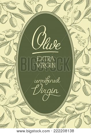Oval design decorative postcard on dirty green background with beautiful berries and with information that olive extra virgin unrefined virgin sketch hand drawing vector illustration