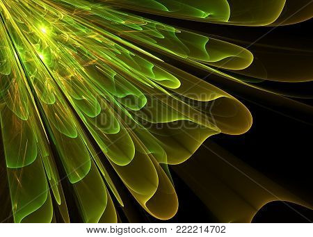 Fractal Pellucid Floral    Background -  Fractal Art