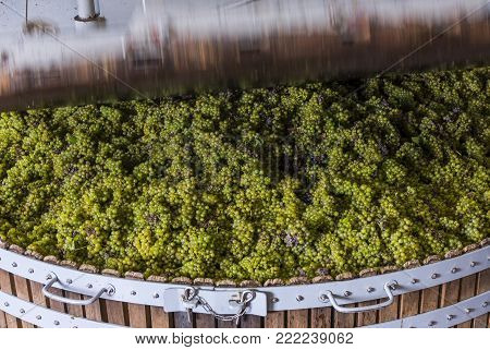 Dizy, France - September 10, 2017: Old wooden wine press (pressoir) with  Chardonnay grapes at Champagne House Regent in Dizy, press is closing, France
