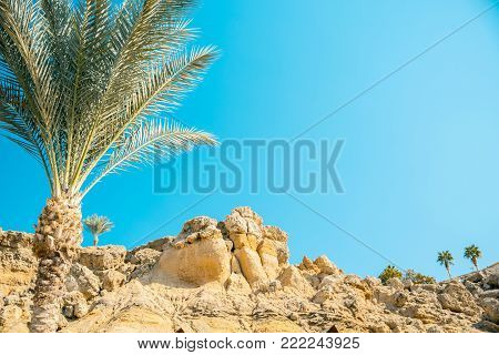 Looking through palm leaves at the picturesque dream beach with white sand, golden granite rocks, palm trees and a blue sky. Egypt