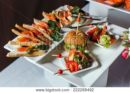 Sandwich with salmon laid out on a white dish. Hamburger and kanape in small plates.