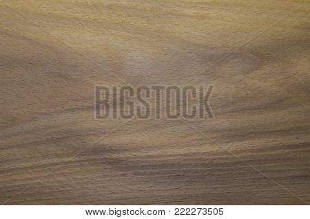 Beech sawed veneer. Grayish-brown color. Weak texture textures on the surface. Backdrop or background wooden.