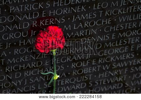 WASHINGTON DC - May 10, 2016: Vietnam Veterans Memorial, in Washington DC, Vietnam Memorial Wall, designed by Maya Lin, dedicated in 1982 with flower