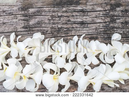 White Plumeria Flower lei garland flat lay on natural old aged grunge wood background.