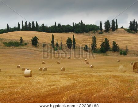 Tuscan Hills balya saman ile