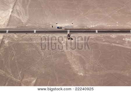 Árbol y líneas de Nazca de las manos