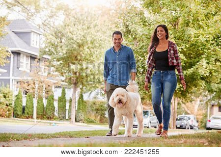 Couple Walking Dog Along Suburban Street