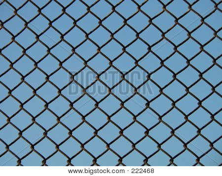 Chain Link hegn