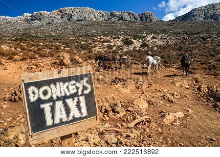 Donkey taxi in semidesert rural country at Crete island, Greece