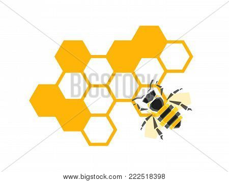 Vector honeycombs with bee background natural design elements isolated