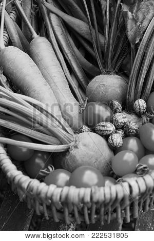 Rustic Basket Filled With Fresh Vegetables From An Allotment
