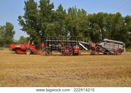 ROLLAG, MINNESOTA, Sept 2, 2017: A Self propelled Massey Ferguson combine, Minneapolis Steam Engine, and threshing machine are preparing for harvest demonstrations at the annual WCSTR farm show in Rollag held each Labor Day weekend where 1000's attend.