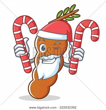 Santa with candy tamarind mascot cartoon style vector illustration