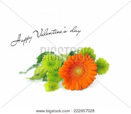 Valentine's day card with Orange Herbera isolated on white