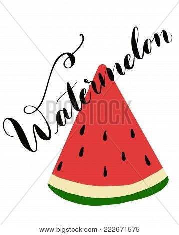 illustration of fresh watermelon for menu cards, cocktail cards, with lettered text