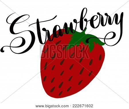 illustration of freshstrawberry  for menu cards, cocktail cards, with lettered text