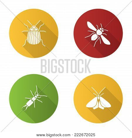 Insects flat design long shadow glyph icons set. Colorado beetle, honey bee, earwig, moth. Vector silhouette illustration
