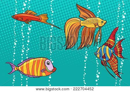 Set collection of aquarium fish. Pop art retro vector illustration