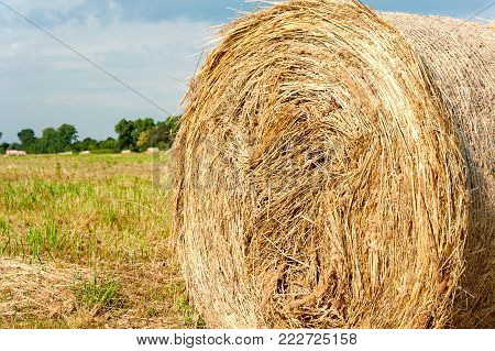 Big yellow straw bale/roll on stubble field after harvesting. Cloeseup. Harvest time scenery. Vibrant multicolored horizontal outdoors image.