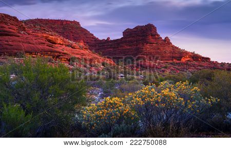 Palm Valley, Australia