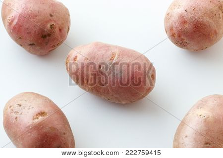 A lot of dirty potatoes on a white background. Potatoes scattered on a white background.
