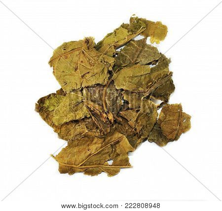Folium Mori , leaf,  chinese herbal medicine isolated. Sang Ye