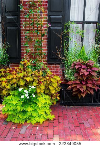 Colorful plants on the exterior of this home in Lambertville NJ.