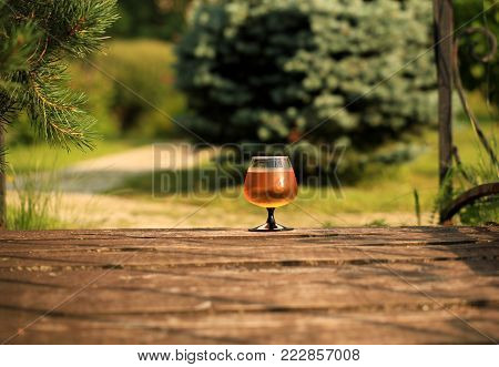 A glass of beer against the background of a green summer garden. Cold Beer is the best drink on a hot summer day.