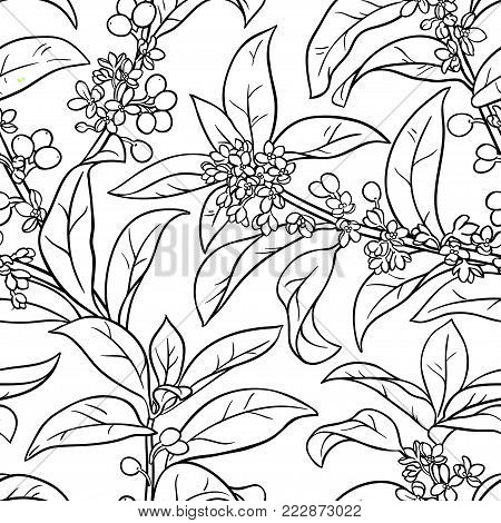 osmanthus branches seamless pattern on white background